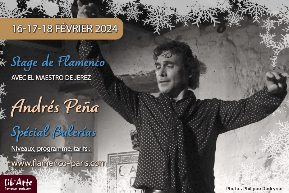 Stage de Flamenco à Paris avec Andrés Peña