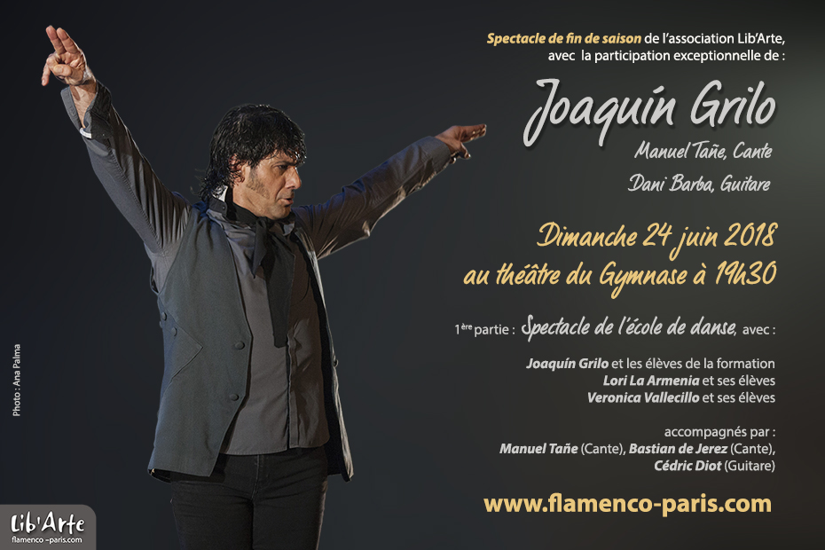 Stage de Flamenco à Paris avec Joaquin Grilo, Paris