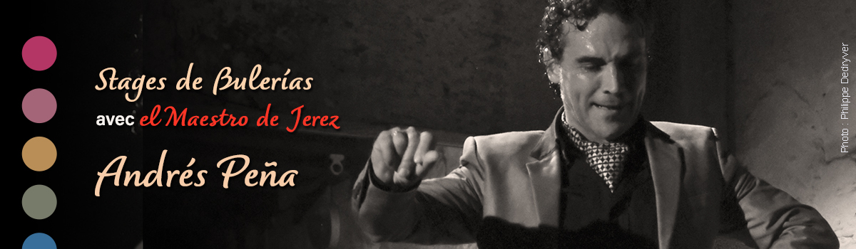Photo : Philippe Dedryver Stages de flamenco à Paris avec Andrés Peña